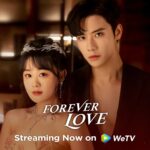 Forever Love 2023 C Drama