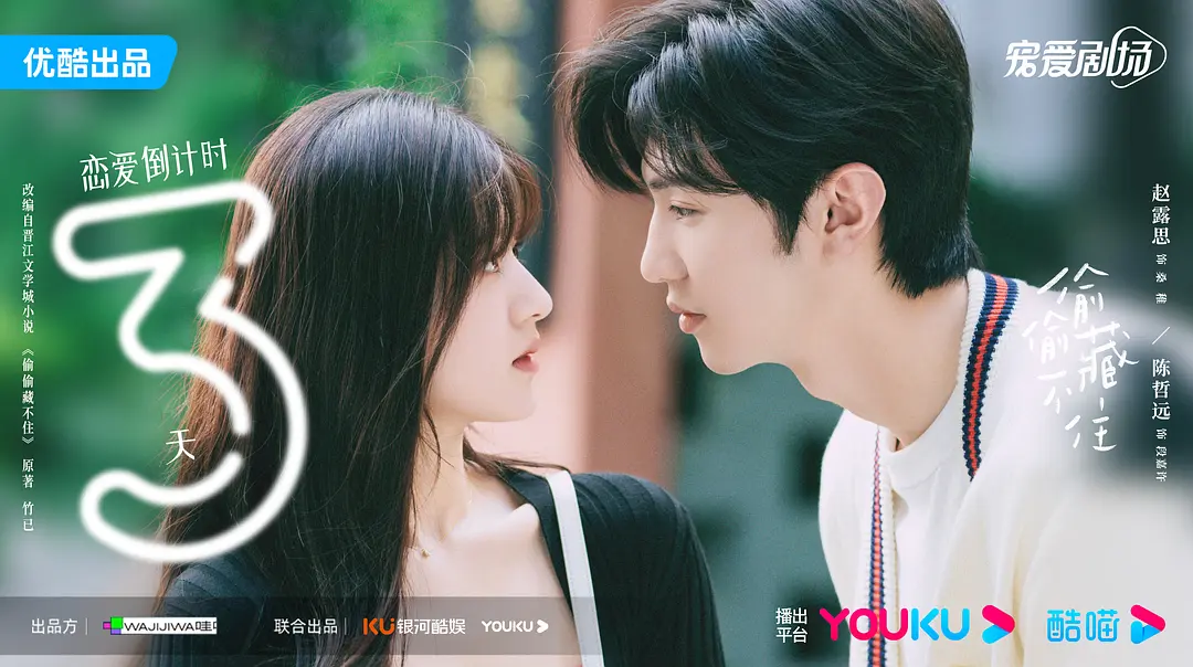 Reviewing the Chinese drama Hidden Love, what are some of the