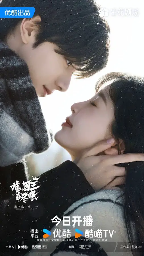 Ski Into Love Drama Poster